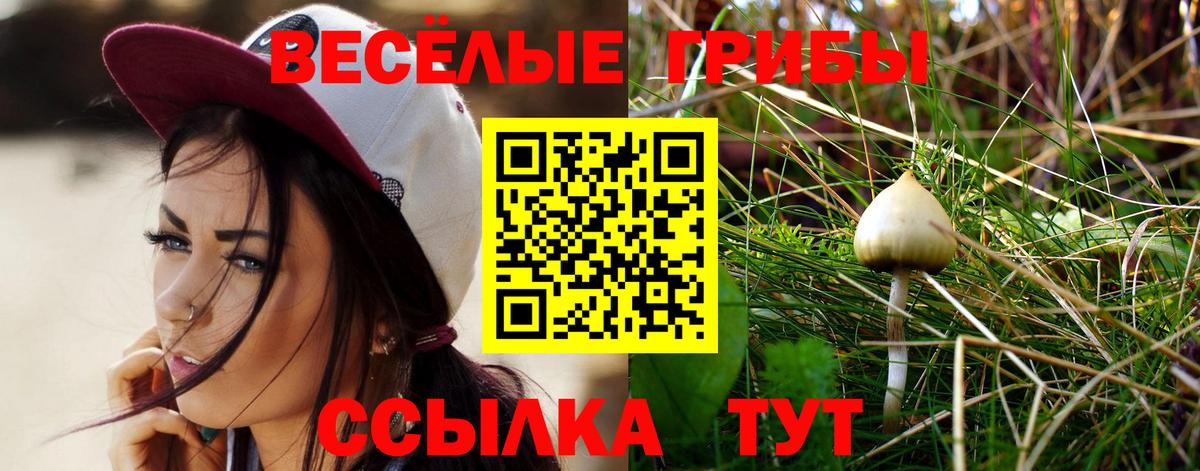 Галлюциногенные грибы GOLDEN TEACHER Шебекино