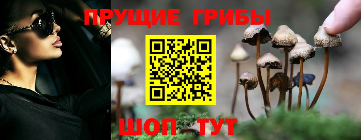 Шебекино  Галлюциногенные грибы Psilocybine cubensis  Псилоцибиновые грибы Psilocybe  Вход с VPN 